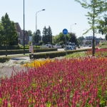 GreentoColour Boxmeer GreentoColour Boxmeer