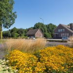 GreentoColour Boxmeer GreentoColour Boxmeer