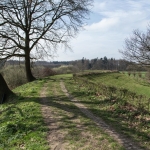 Veluwse Bandijk Veluwse Bandijk