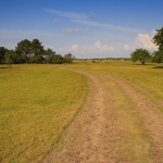 groot zwarteveld 2 groot zwarteveld 2