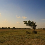 groot zwarteveld 3 groot zwarteveld 3