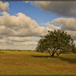 groot zwarteveld 4 groot zwarteveld 4