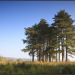 Leersumse veld 2 Leersumse veld 2