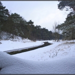 snowy AWD snowy AWD