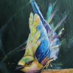 vogel -roller vogel -roller