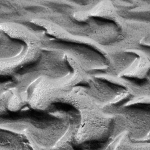 Zand 5 Zand 5