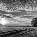 Emmerich - uiterwaarden Emmerich - uiterwaarden
