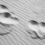Zand 8 Zand 8