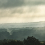 Misty Morning Misty Morning