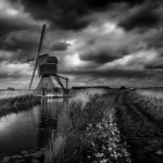 Dutch Mill Dutch Mill