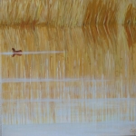 riet en water riet en water
