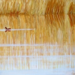 riet en water riet en water