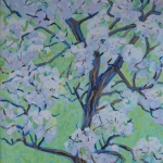 bloeiende perenboom 2