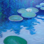 waterlelies waterlelies