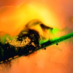 abstract 24 abstract 24