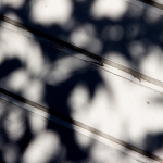 Abstract 35 Abstract 35