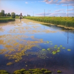 de boezem de boezem