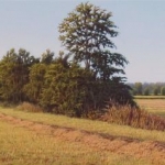 nieuwe natuur nieuwe natuur