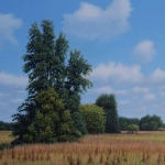 dutch savanna dutch savanna