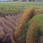 wind over het kale land wind over het kale land