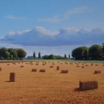 het hooiland het hooiland