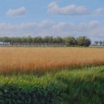 het graanveld het graanveld