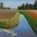 nazomer nazomer