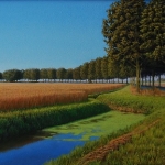 de weg de weg