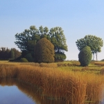 De Punt(dr) De Punt(dr)