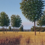het veen het veen