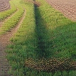 het lege land het lege land