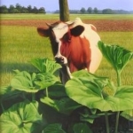 Klara, zomer Klara, zomer