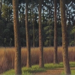 het broekbos het broekbos