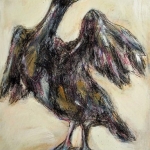 Cormorant Cormorant