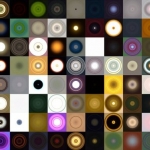 Circles of Life #3 Circles of Life #3