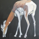 05 03 2021 MHORR GAZELLE 05 03 2021 MHORR GAZELLE