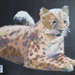 07-04-2021 CHEETAH 07-04-2021 CHEETAH
