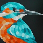 IJsvogel IJsvogel