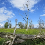 OOSTVAARDERSPLASSEN OOSTVAARDERSPLASSEN