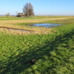 EEMPOLDER EEMPOLDER