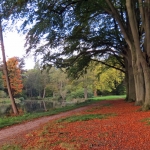 HERFSTLANDSCHAP HERFSTLANDSCHAP