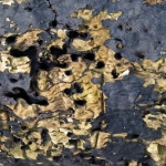 DODE BOOM DETAIL DODE BOOM DETAIL