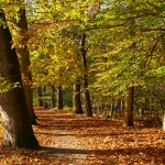 HERFSTLANDSCHAP HERFSTLANDSCHAP