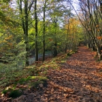 HERFSTLANDSCHAP HERFSTLANDSCHAP