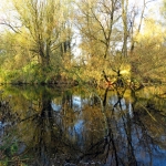 HERFSTLANDSCHAP HERFSTLANDSCHAP