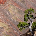 GRAND CANYON GRAND CANYON