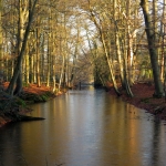 SPANDERSWOUD SPANDERSWOUD