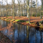 SPANDERSWOUD SPANDERSWOUD