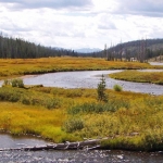 YELLOWSTONE YELLOWSTONE