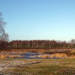 LANDSCHAP BIJ BLARICUM LANDSCHAP BIJ BLARICUM
